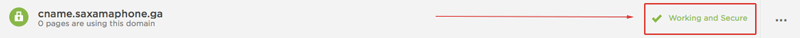 Domain appearing with 'Working and Secure' message.